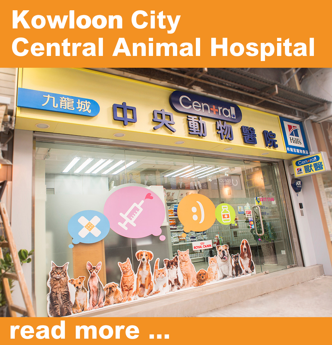中央動物醫院– Central Animal Hospital Hong Kong 中央動物醫院– Central Animal Hospital Hong Kong