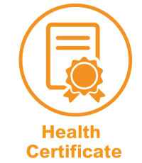 Health Certificate Health Certificate