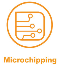 Microchipping