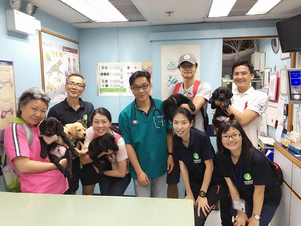 Hong Kong Seeing Eye Dog Services (HKSEDS)